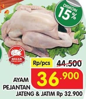 Promo Harga Ayam Pejantan 500 gr - Superindo