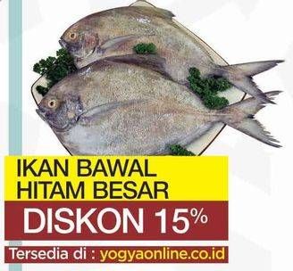 Promo Harga Ikan Bawal Hitam Besar per 100 gr - Yogya