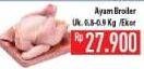 Promo Harga Ayam Broiler  - Hypermart