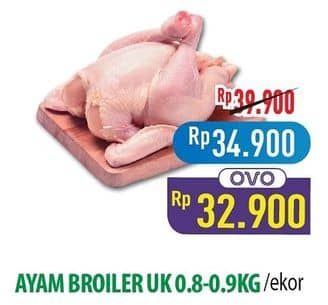Promo Harga Ayam Broiler 800 gr - Hypermart