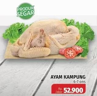 Promo Harga Ayam Kampung  - Lotte Grosir