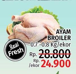 Promo Harga Ayam Broiler 800 gr - LotteMart