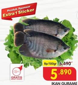 Promo Harga Ikan Gurame per 100 gr - Superindo