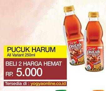 Promo Harga TEH PUCUK HARUM Minuman Teh All Variants 250 ml - Yogya