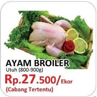 Promo Harga Ayam Broiler  - Yogya