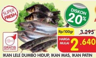 Promo Harga Ikan Lele Dumbo Hidup/Ikan Mas/Ikan Patin 100gr  - Superindo