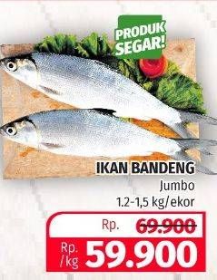 Promo Harga Ikan Bandeng Jumbo  - Lotte Grosir