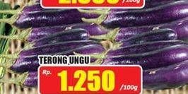 Promo Harga Terong Ungu per 100 gr - Hari Hari