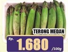 Promo Harga Terong Medan per 100 gr - Hari Hari