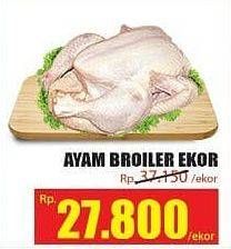 Promo Harga Ayam Broiler  - Hari Hari