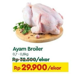 Promo Harga Ayam Broiler 700 gr - TIP TOP
