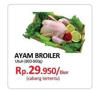 Promo Harga Ayam Broiler Utuh  - Yogya