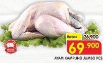 Promo Harga Ayam Kampung 500 gr - Superindo