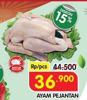 Promo Harga Ayam Pejantan 500 gr - Superindo