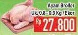 Promo Harga Ayam Broiler  - Hypermart