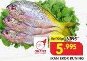 Promo Harga Ikan Ekor Kuning per 100 gr - Superindo