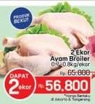 Promo Harga Ayam Broiler 800 gr - LotteMart