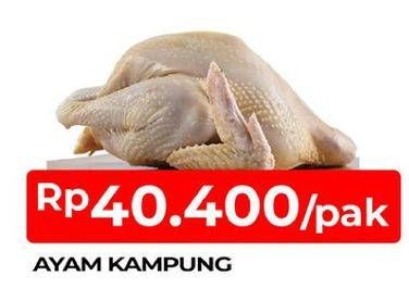 Promo Harga Ayam Kampung 600 gr - TIP TOP