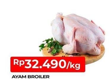 Promo Harga Ayam Broiler  - TIP TOP