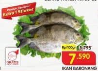 Promo Harga Ikan Baronang per 100 gr - Superindo