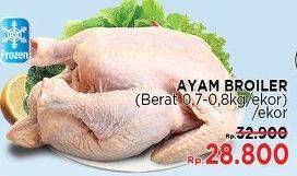 Promo Harga Ayam Broiler  - LotteMart