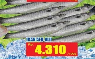 Promo Harga Ikan Alu Alu per 100 gr - Hari Hari