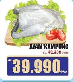 Promo Harga Ayam Kampung 1000 gr - Hari Hari