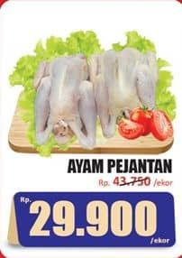 Promo Harga Ayam Pejantan 500 gr - Hari Hari