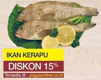 Promo Harga Ikan Kerapu per 100 gr - Yogya