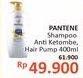 Promo Harga PANTENE Shampoo Anti Dandruff 400 ml - Alfamidi
