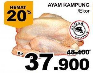 Promo Harga Ayam Kampung  - Giant