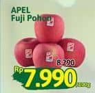 Promo Harga Apel Fuji Pohon per 100 gr - Alfamidi