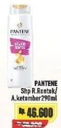 Promo Harga Pantene Shampoo Hair Fall Control, Anti Dandruff 290 ml - Alfamart