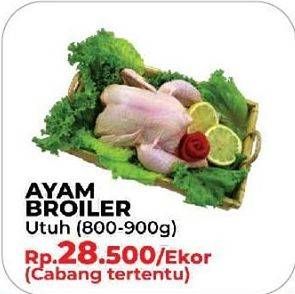 Promo Harga Ayam Broiler Utuh  - Yogya