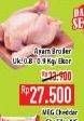 Promo Harga Ayam Broiler  - Hypermart