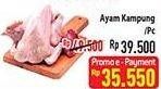 Promo Harga Ayam Kampung 600 gr - Hypermart