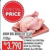 Promo Harga Ayam Broiler per 100 gr - Hypermart