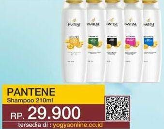Promo Harga PANTENE Shampoo 210 ml - Yogya