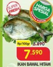 Promo Harga Ikan Bawal Hitam per 100 gr - Superindo