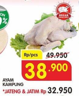 Promo Harga Ayam Kampung  - Superindo