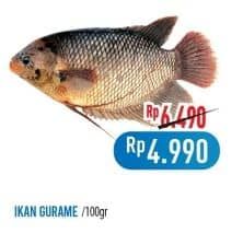 Promo Harga Ikan Gurame per 100 gr - Hypermart