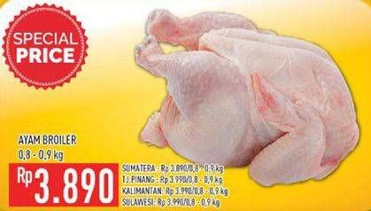 Promo Harga Ayam Broiler  - Hypermart