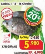 Promo Harga Ikan Gurame per 100 gr - Superindo