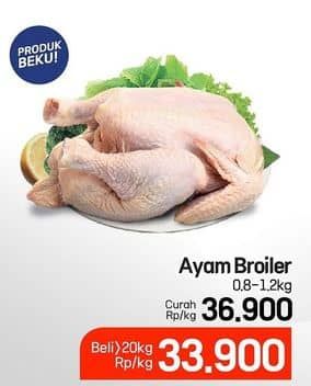 Promo Harga Ayam Broiler 800 gr - Lotte Grosir