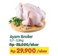 Promo Harga Ayam Broiler 700 gr - TIP TOP