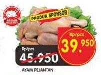 Promo Harga Ayam Pejantan  - Superindo