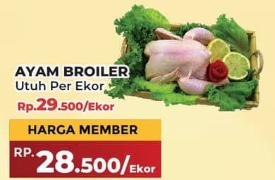 Promo Harga Ayam Broiler 800 gr - Yogya