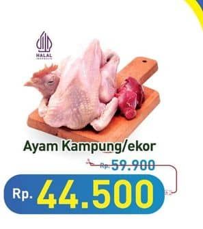 Promo Harga Ayam Kampung 500 gr - Hypermart