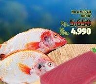 Promo Harga Ikan Nila Merah Hidup per 100 gr - LotteMart