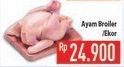 Promo Harga Ayam Broiler  - Hypermart